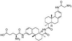 Figure BDA0002889616220002671