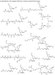 Figure imgf000062_0001