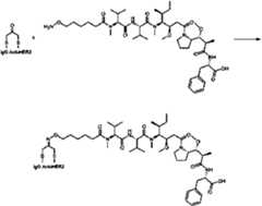Figure imgf000021_0001