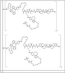 Figure BDA0002889616220001571