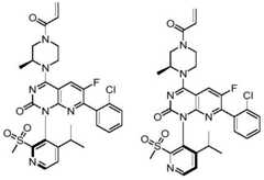 Figure BDA0002861043520000802