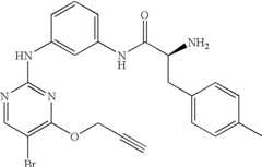 Figure US07504410-20090317-C00111