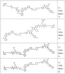 Figure BDA0004113777320000861