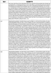 Figure BDA0003627552160001131