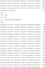 Figure BDA0000461308220000161