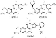 Figure imgf000061_0002