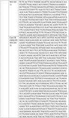 Figure BDA0004033970230005081