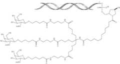 Figure US11034958-20210615-C00002