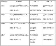 Figure imgf000049_0001