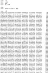 Figure IDA0002536600790000881