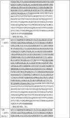 Figure GPA0000304243320000391