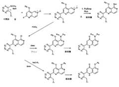 Figure 2025513455000300