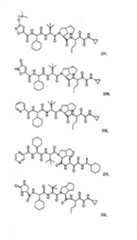 Figure G2009101493490D00621