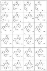 Figure 0006990229000016