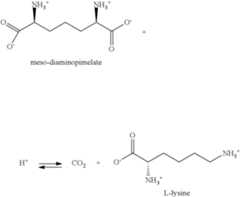 Figure US08133704-20120313-C00025