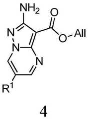 Figure BDA0001412716210005374