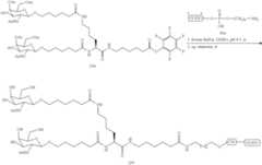 Figure US09181549-20151110-C00726