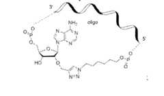 Figure imgf000173_0002