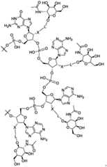 Figure BDA0003702321910001131