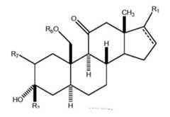 Figure 112021066704426-pat00013