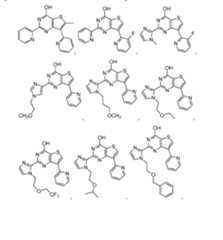 Figure imgf000339_0002