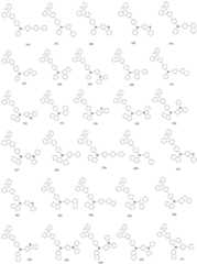 Figure FDA0002697681650000161