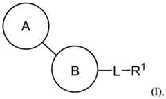 Figure imgf000002_0001