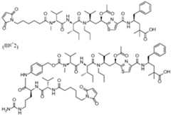 Figure imgf000039_0003