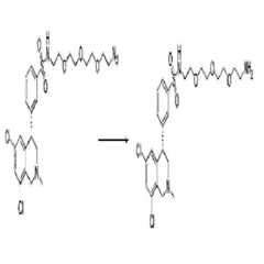 Figure 112011059052603-pct00412