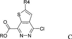 Figure G2009100003371D00231