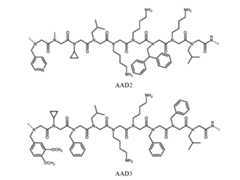 Figure imgf000017_0001