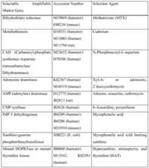 Figure imgf000026_0001