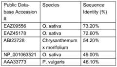 Figure imgf000025_0001