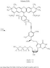 Figure US08889860-20141118-C00097