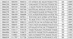 Figure BDA0003282506760001381
