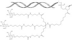 Figure US10683504-20200616-C00004