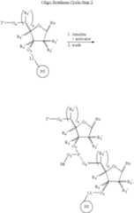 Figure US07348391-20080325-C00006