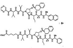 Figure S06180326520060524D001561