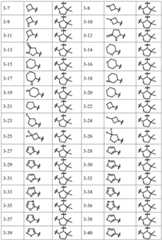 Figure BDA0003141290410000411