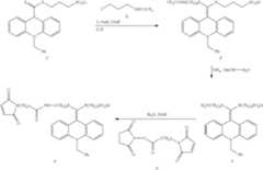 Figure US08377647-20130219-C00025