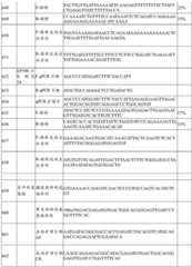 Figure BDA0002379404260001341