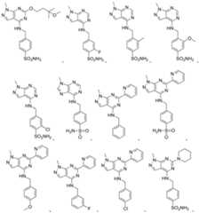 Figure 2023508978000875