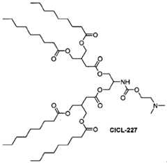 Figure imgf000062_0002