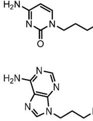 Figure imgf000338_0002