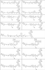 Figure PCTCN2022073822-appb-000374