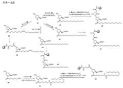 Figure 2023500681000057