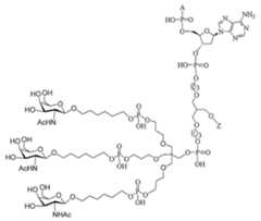 Figure 2023012548000243