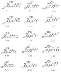 Figure 112008039273174-PCT00182