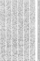 Figure IPA0000293710130000141