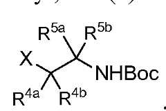 Figure imgf000009_0002